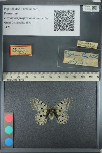 Media type: image;   Entomology 174816